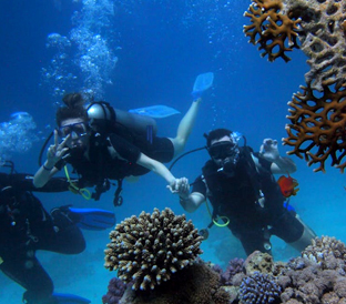 Andaman Scuba diving